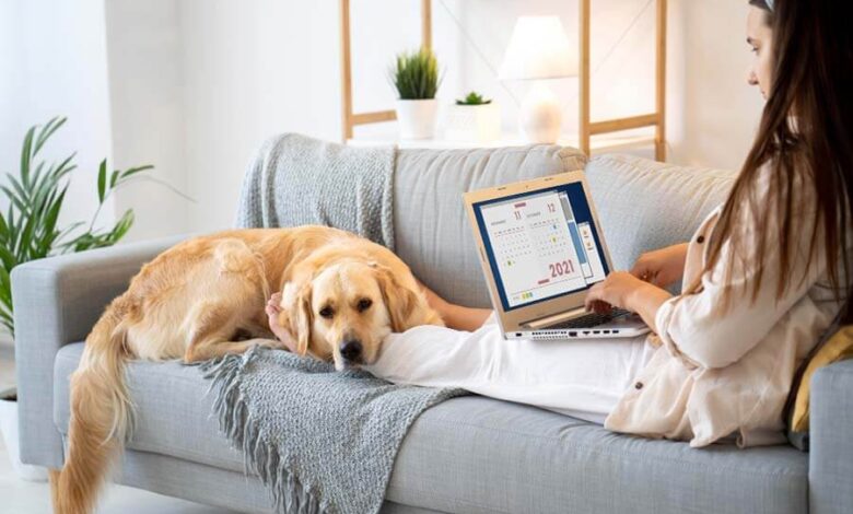 Top 5 Pet Supplies Store Online to Shop in 2025